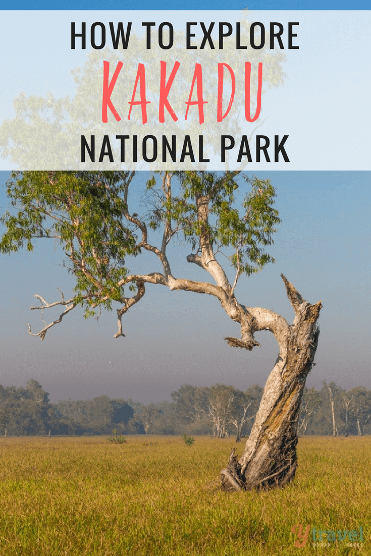 After traveling around Australia for 18 months, visiting Kakadu National Park was one of our top 5 highlights. Here's why!
